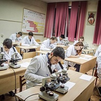 Федеральное государственное бюджетное образовательное учреждение высшего образования «Волгоградский государственный медицинский университет» Министерства здравоохранения Российской Федерации